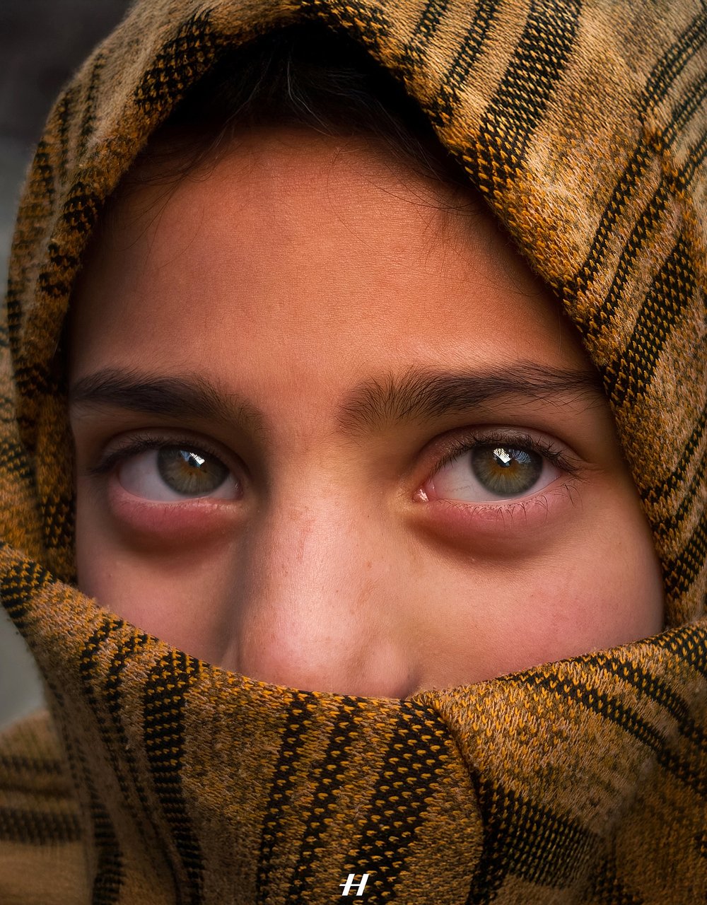 Kashmiri woman with striking eyes wrapped in a shawl